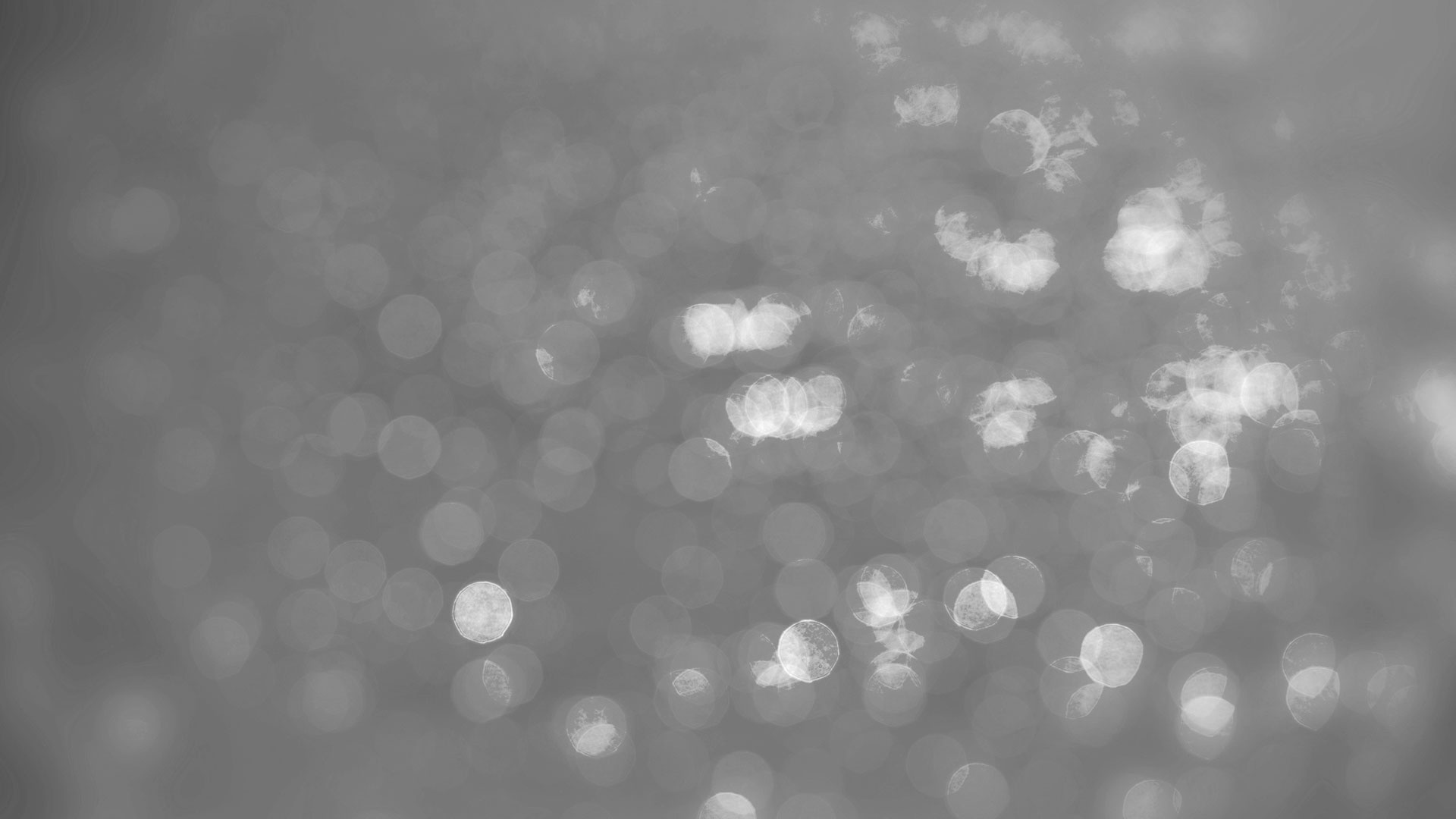 Twinkling Lights Background